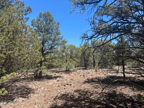 037k-TBD Lot 37k --, Vernon, AZ, 85940 | Card Image