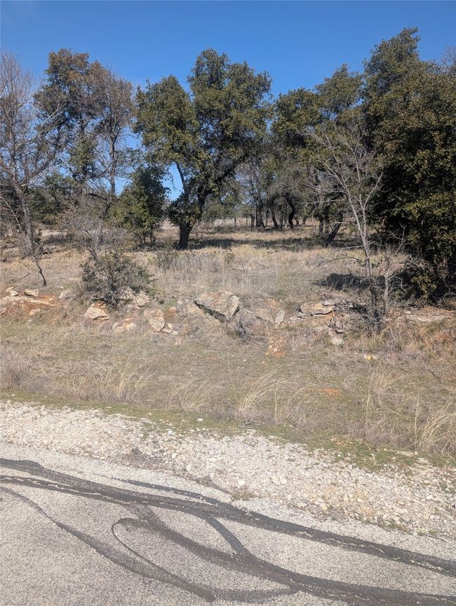 View of local wilderness | Image 7