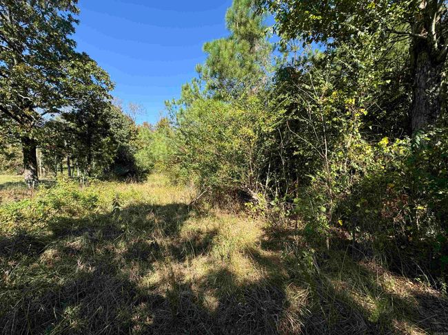 00 Calico Rd, Home with 0 bedrooms, 0 bathrooms and null parking in Clinton AR | Image 22