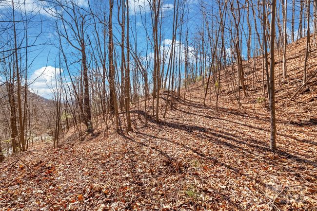 965 Wolf Pen Rd, Home with 0 bedrooms, 0 bathrooms and null parking in Old Fort NC | Image 7