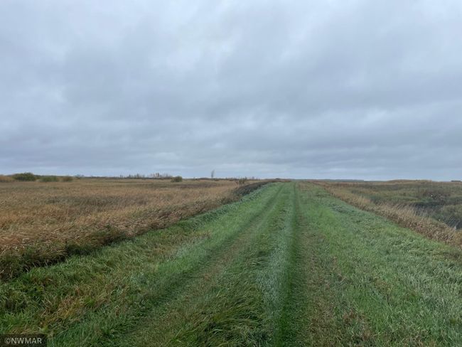 219 Highway, Home with 0 bedrooms, 0 bathrooms and null parking in Goodridge MN | Image 19