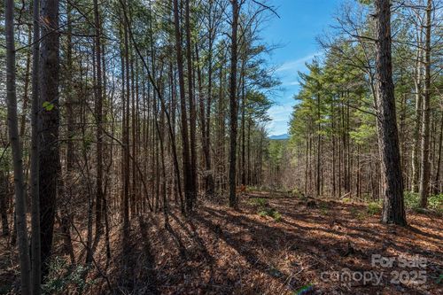 1683 Pisgah Preserve Dr, Nebo, NC, 28761-0127 | Card Image