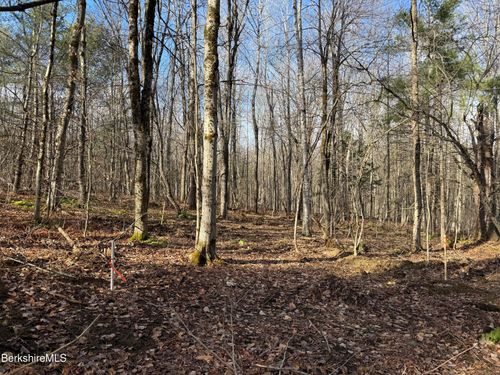 411-51 &52 Skyline Trail Trail, Middlefield, MA, 01243 | Card Image