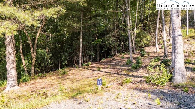 12 - 0 Clear Creek Drive, Home with 0 bedrooms, 0 bathrooms and null parking in Spruce Pine NC | Image 16