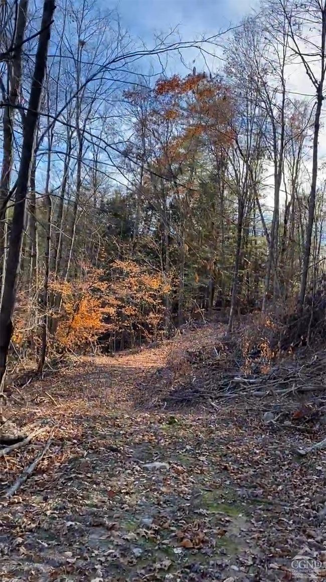 15 Gorge Rd, Home with 0 bedrooms, 0 bathrooms and null parking in Middleburgh NY | Image 8