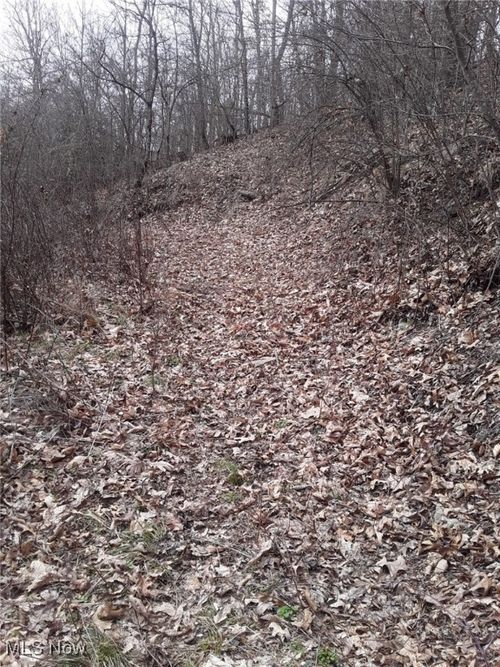 333 Main St E, Salineville, OH, 43945 | Card Image