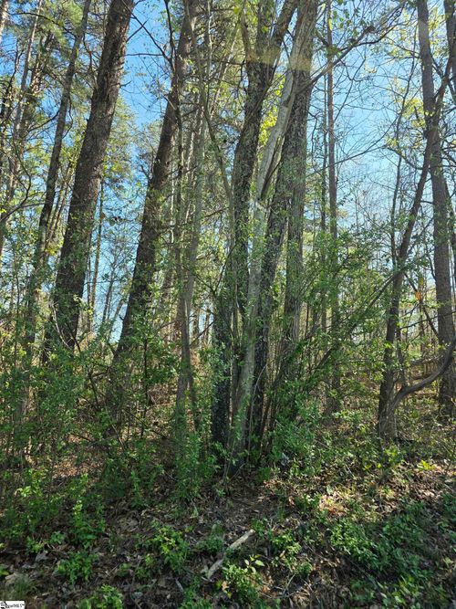 102 Pine Drive, Taylors, SC, 29687 | Card Image