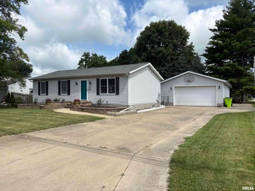 113 W Franklin Street, Tremont, IL, 61550 | Card Image