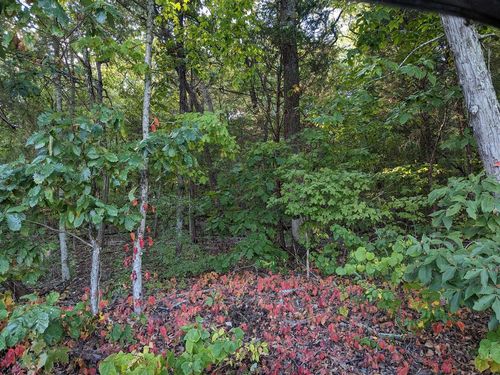 0 Brookwood Dr, Bowling Green, KY, 42101 | Card Image