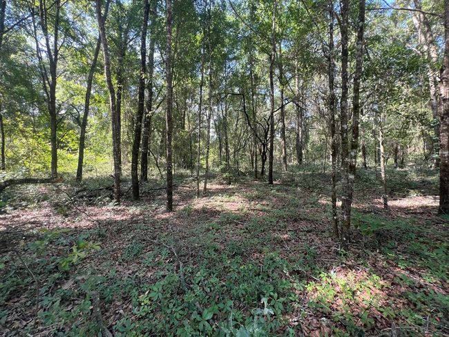 Lot 1 Old Wire Rd, Home with 0 bedrooms, 0 bathrooms and null parking in FORT WHITE FL | Image 18