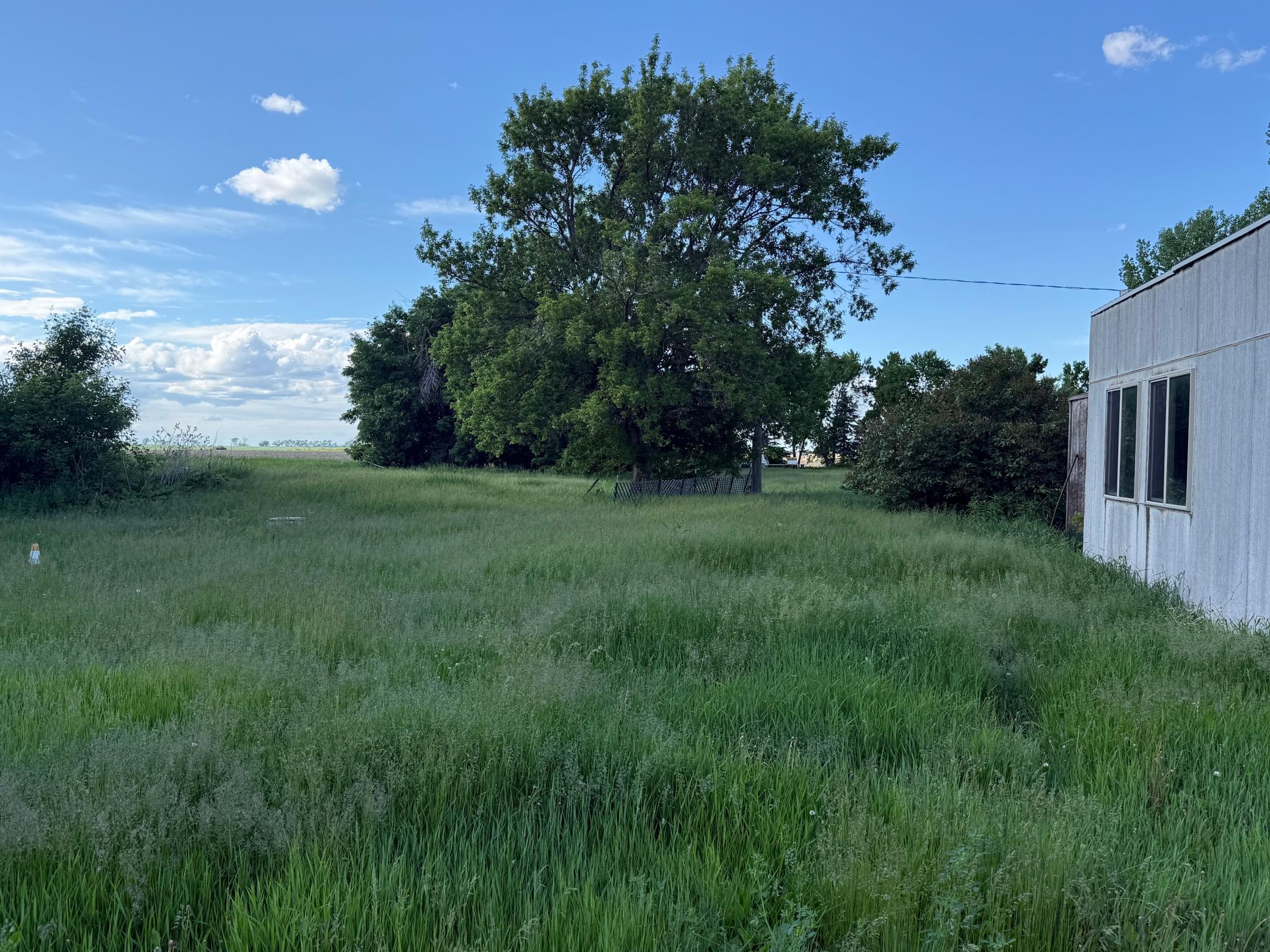 Land in Webster 5