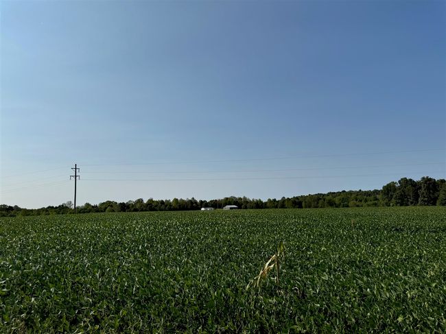 50 Hopewell Church Rd, Home with 3 bedrooms, 2 bathrooms and null parking in Fordsville KY | Image 12