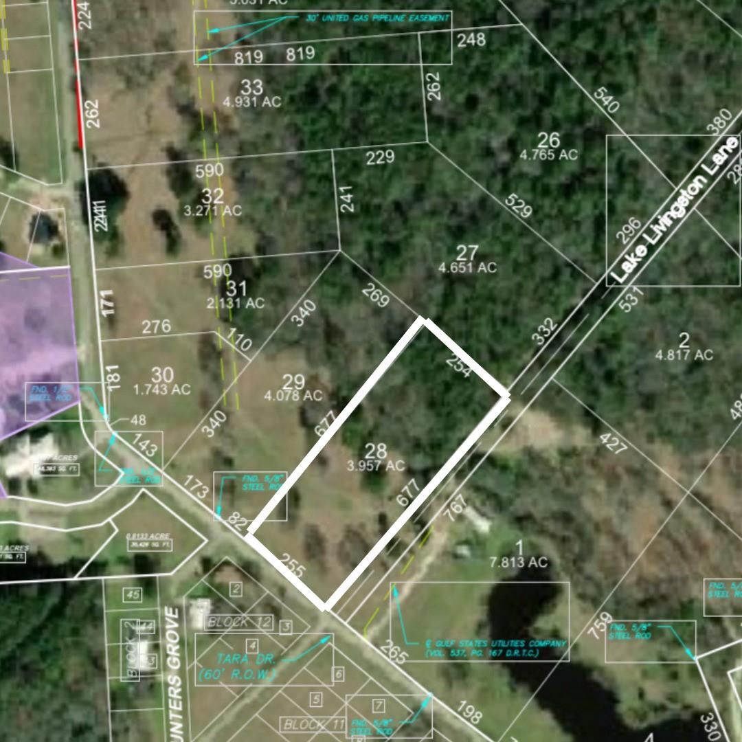 Land in Trinity