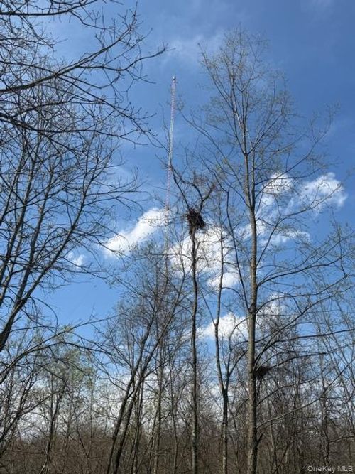 509 Route 9g, Hyde Park, NY, 12538 | Card Image