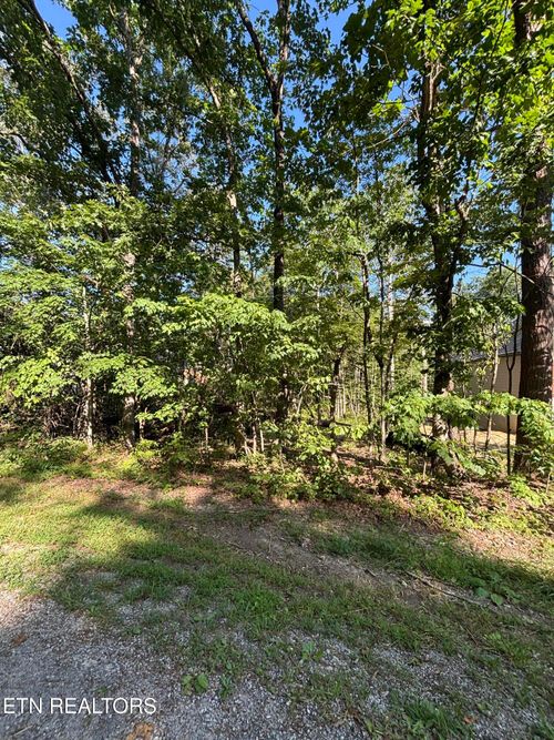 152 Adler Ln, Crossville, TN, 38558-7356 | Card Image