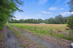 Land in Bonneau 5