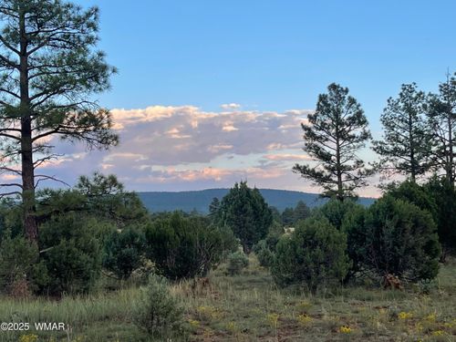 3621 N Mountain Creek Trail, Lakeside, AZ, 85929 | Card Image