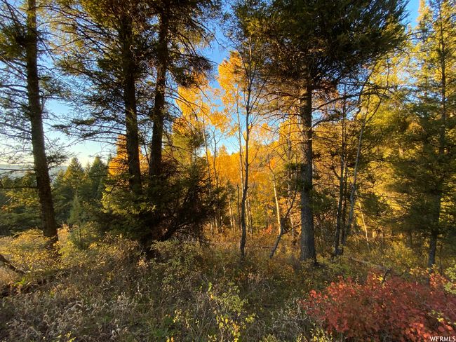 View of nature | Image 62
