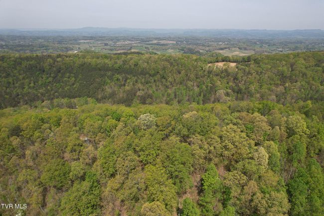 0 Coy Bradley Ln, Home with 0 bedrooms, 0 bathrooms and null parking in Bulls Gap TN | Image 8