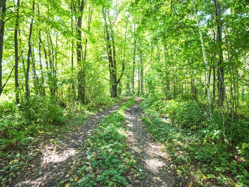00 County Line Rd, SHELDON, WI, 54766 | Card Image