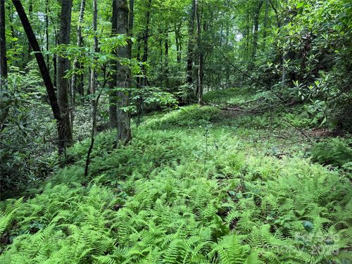 7r-TBD Caroline Lane, Pisgah Forest, NC, 28768 | Card Image