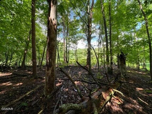 20 Hazelwood Ct, White Pine, TN, 37890 | Card Image