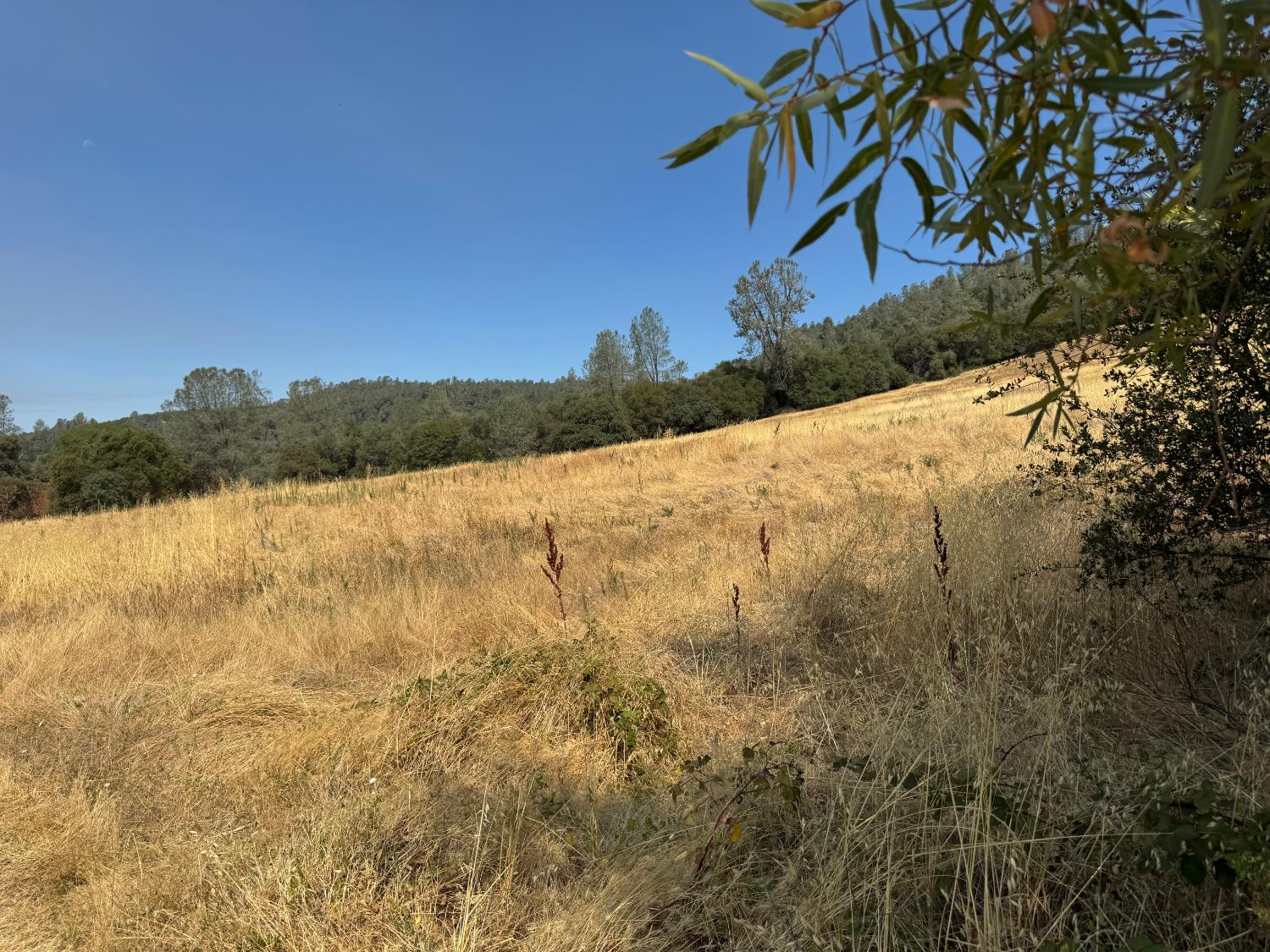 Land in North San Juan 5