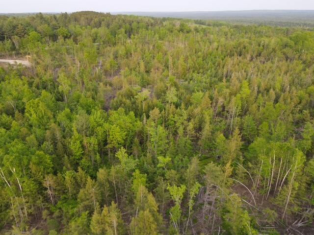 Land in Sebec 5