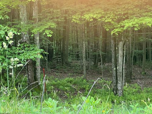 lot-171-mountainside-Lot 171 Frostline Ct, Davis, WV, 26260 | Card Image