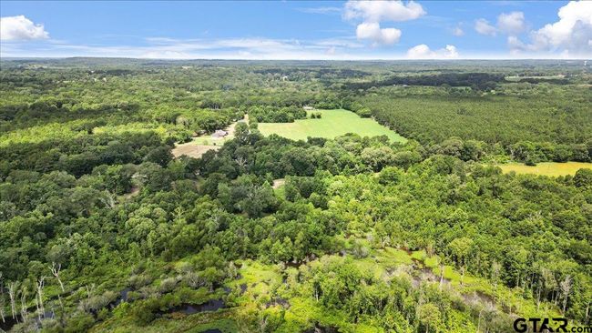14325 County Road 2141, Home with 3 bedrooms, 2 bathrooms and null parking in Troup TX | Image 40