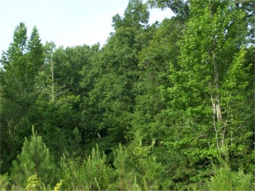 00 Dr Johnson Road, Crandall, GA, 30711 | Card Image