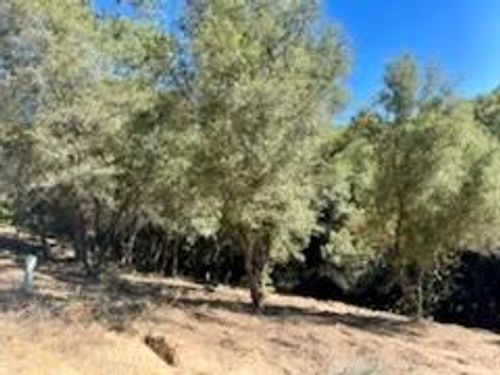 6700 Patsy Cline Ln, Somerset, CA, 95684-9392 | Card Image