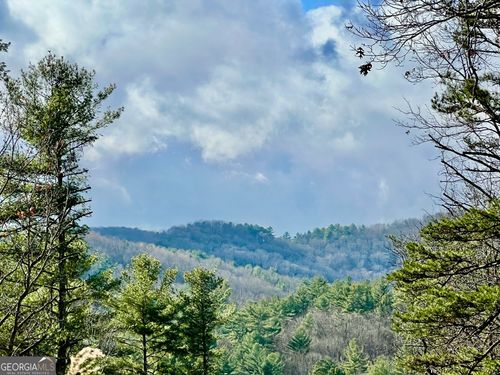 00 Stanley Creek Road, Cherry Log, GA, 30522 | Card Image