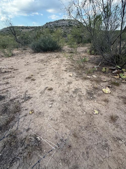 0000 Cactus Rose Ln, Ozona, TX, 76943 | Card Image