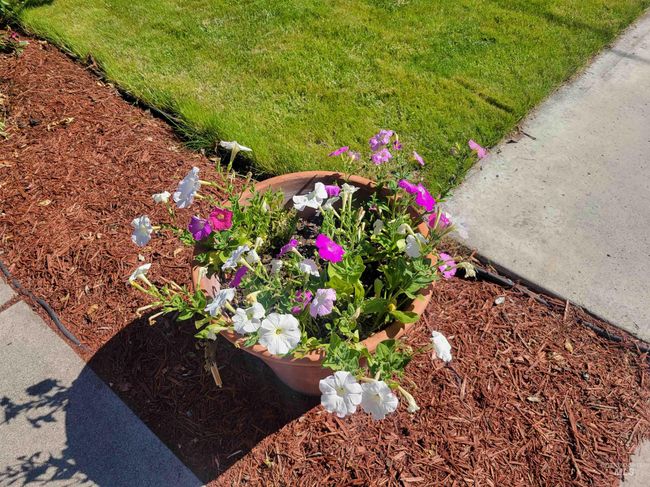708 16 Th St, House other with 4 bedrooms, 4 bathrooms and 2 parking in Clarkston WA | Image 31