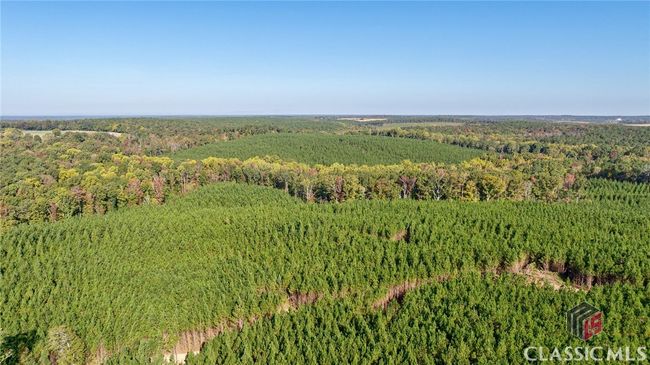 0 Bob Smith Rd, Home with 0 bedrooms, 0 bathrooms and null parking in Stephens GA | Image 44