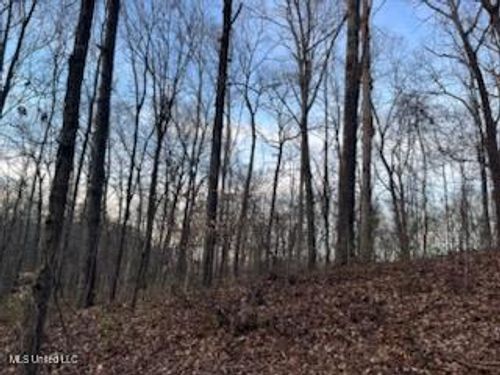 1915 Mattaha Dr, Hernando, MS, 38632-4459 | Card Image