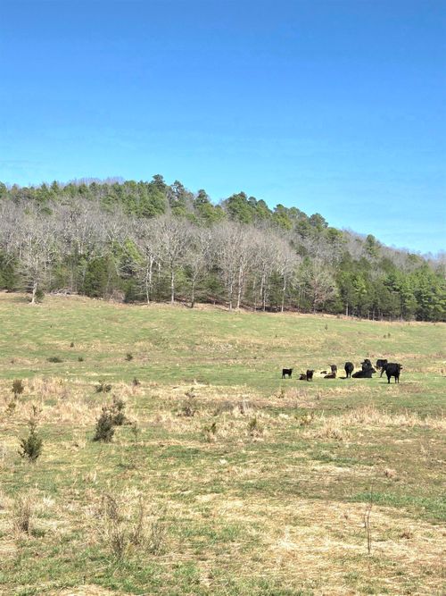 311 Rockhill Rd, Dolph, AR, 72528-5501 | Card Image