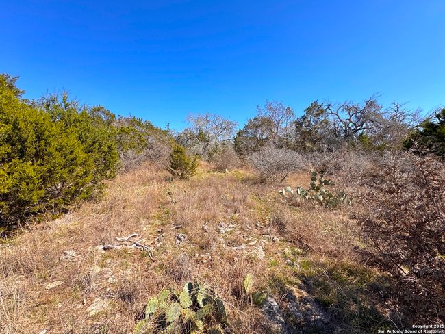 172 Rayner Ct, Home with 0 bedrooms, 0 bathrooms and null parking in Spring Branch TX | Image 12