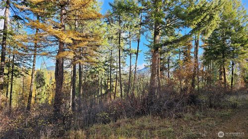 700 Dry Gulch Rd, Colville, WA, 99114-9302 | Card Image