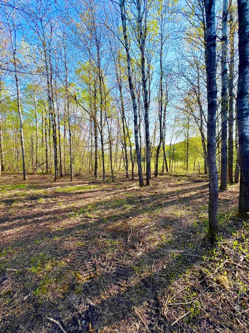 TBD Mallard Pl, Sandstone, MN, 55072 | Card Image