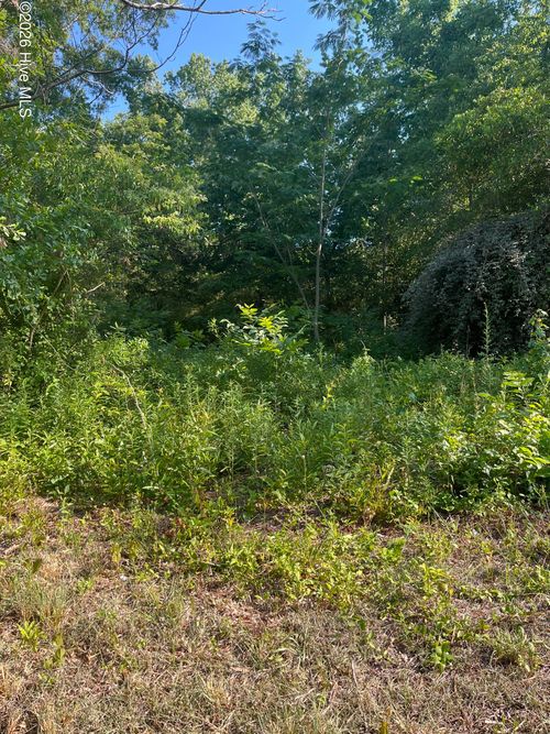 166 Douglas St, Laurinburg, NC, 28352 | Card Image