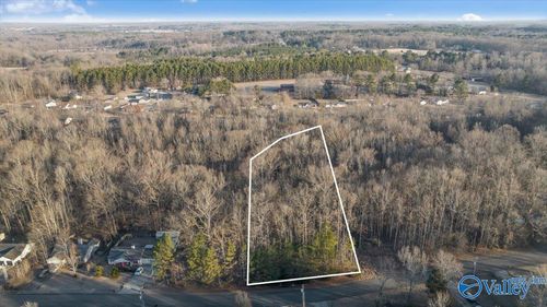 351 Buffalo Creek Dr, Toney, AL, 35773-8925 | Card Image
