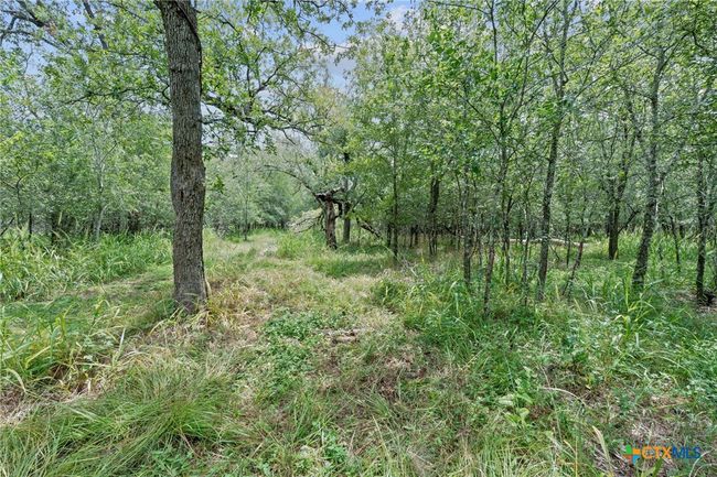 3597 Baker Rd, Home with 0 bedrooms, 0 bathrooms and null parking in Kingsbury TX | Image 11