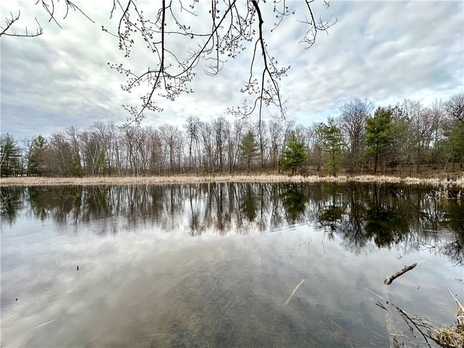 16 295th Street, Home with 0 bedrooms, 0 bathrooms and null parking in Holcombe WI | Image 39