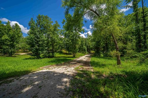 2.36 Acres County Road 336, Piedmont, AL, 36272 | Card Image