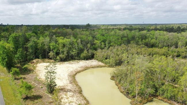 2771 S Highway 71, Home with 0 bedrooms, 0 bathrooms and null parking in Wewahitchka FL | Image 10