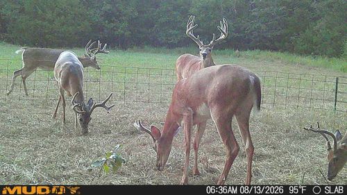 0 Slab Rd, Wapanucka, OK, 73461 | Card Image