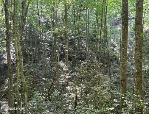 Lot 70 Hazelnut Ln, Sevierville, TN, 37862 | Card Image