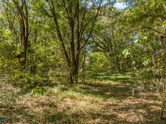 DJI_0398-HDR | Image 16
